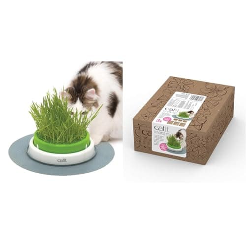 Image of Catit Senses Grass Planter Cat Grass Kit - Pack of 3 for the Senses Grass Planter