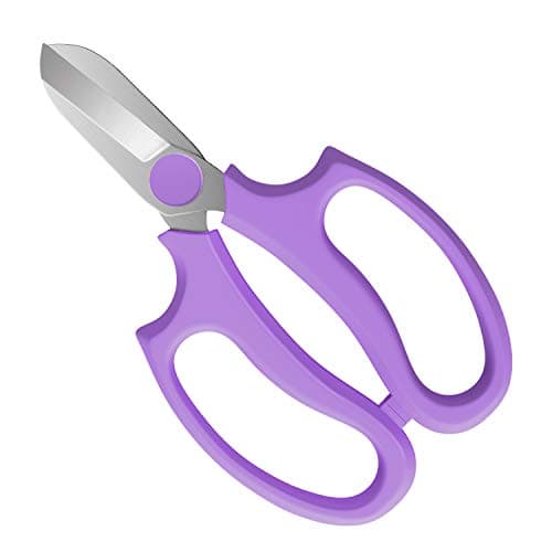Image of Housolution Floral Shears, Premium Steel Garden Pruning Shears Floral Fruits Leaf Scissors Hand Pruner Snip Trimming Tool for Gardening Flower Arrangement, Purple