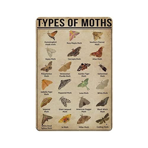 Image of DJNGN Types Of Moths Vintage Poster Metal Tin Sign Art Wall Plaque Decor Retro Iron Painting Aluminum Sign for Home Men Cave Bar Coffee Outdoor Garage Decor 8"x12"