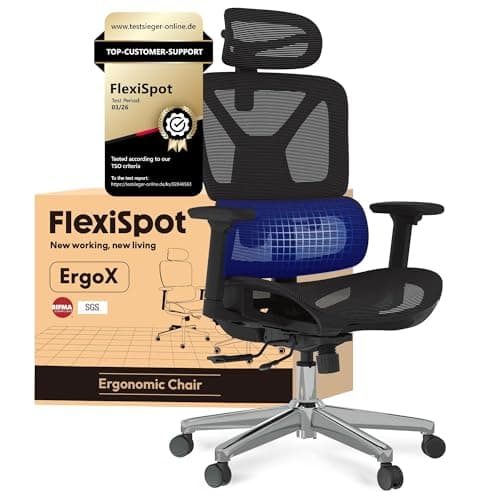 Image of FLEXISPOT ErgoX Ergonomic Office Chair Executive Mesh Desk Chair Swivel WIth Height Adjustable Seat Headrest Armrest and Independent Lumbar Support Task Chair