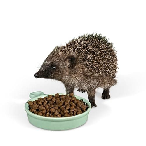 Image of Ceramic Hedgehog Food Bowl – Jacobi Jayne® Hedgehog Feeding Dish – Durable, Weather Resistant Feeding Bowl Specially Designed for Comfort, Stability, and Outdoor use