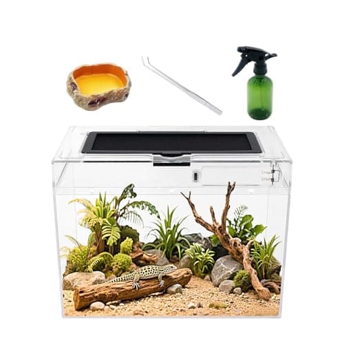 Image of Reptile Growth Mini Reptile Terrarium,12" x 7"x 9" vivarium with Top Sliding Door Screen Ventilation for Small Fish,Insect,Snail,Gecko,Tarantula,Bearded Dragon,Jumping Spider,Stick Insect.