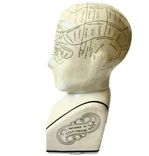 Image of L.N fowler procelian phrenology 8''ceramic head Antique off white crackle-glaze
