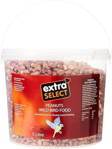 Image of Extra Select Whole Peanuts for Wild Birds: Premium Aflatoxin Tested, Wild Bird Food Peanuts & Squirrel Food - 5 Litre Garden Tub