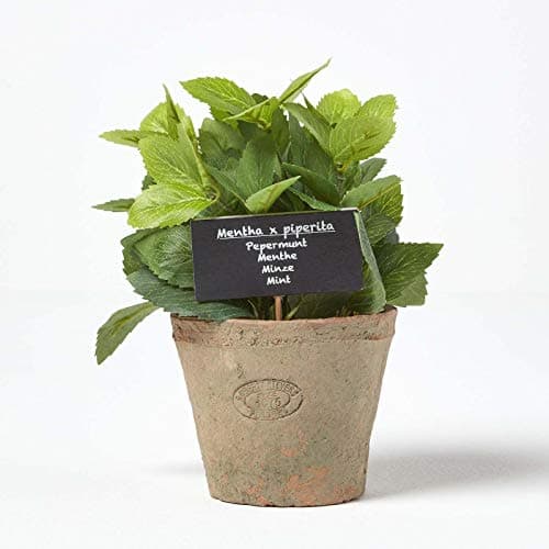 Image of HOMESCAPES Artificial Mint in Terracotta Pot Decorative Faux Herbs Potted in Decorative Distressed Planter for Indoor Decoration, 16 cm Tall