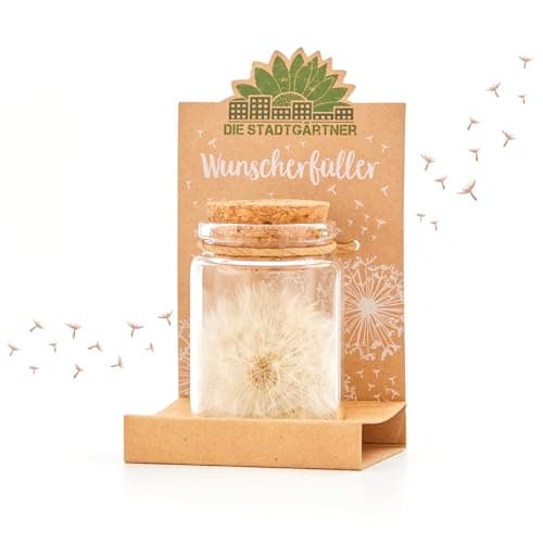 Image of The Stadtgärtner Wish Filler – Real Dandelion in Glass – 100 Wishes to Hope and Dream