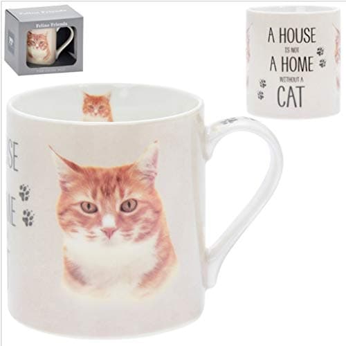 Image of Ginger Cat Ceramic Fine China Mug with The Words A House is not a Home Without a Cat - Gift Boxed