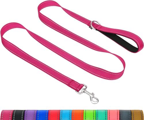 Image of Taglory Dog Leads for Small Medium Dogs | Double Sided Reflective | Soft Neoprene Padded Handle | 2 cm Wide by 180 cm Long | Hot Pink