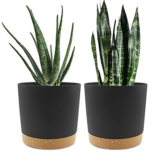 Image of QCQHDU 20cm Plant Pot, 2 Pack Planters for Indoor Plants with Drainage Holes & Saucer, Outdoor Flower Pots Home Garden Modern Decor (Dark Grey, 20cm)