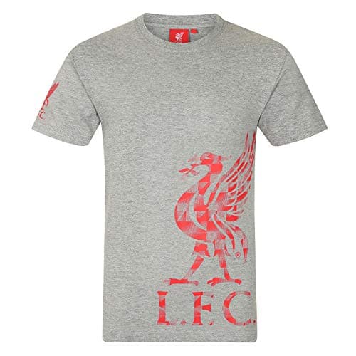 Image of Liverpool FC Official Football Gift Kids Graphic T-Shirt Grey 8-9 Years
