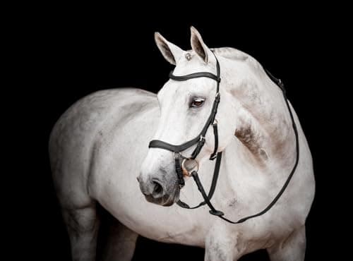 Image of Horseware Micklem 2 Competition Bridle Black Pony, Black