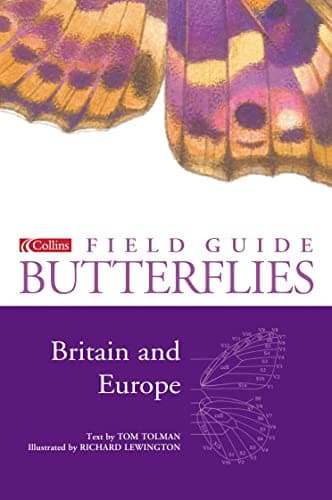 Image of Butterflies of Britain and Europe (Collins Field Guide)