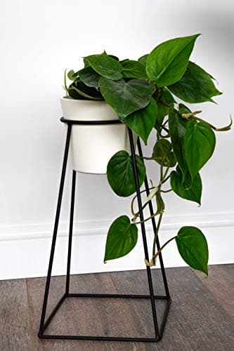 Image of Ivyline Minimo plant stand in black H40xW21xD21cm