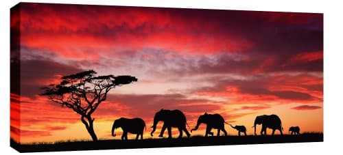 Image of ANIMALS LARGE ELEPHANTS SUNSET CANVAS ARTWORK PICTURE mounted and ready to hang 40 x 20 inches2 x 20 inches (107 x 52 cm)