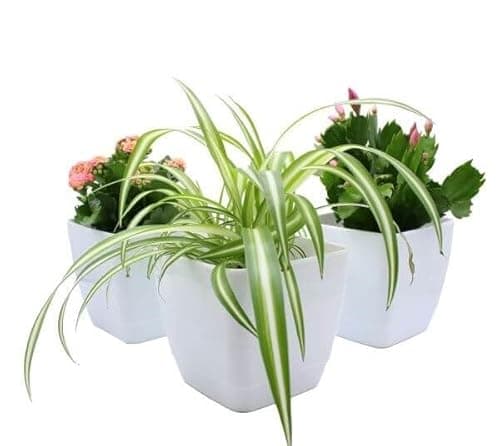 Image of Gardening Naturally Plant Pot Pack Indoor Square White Gloss (Pack of 3, 18 CM Diameter)
