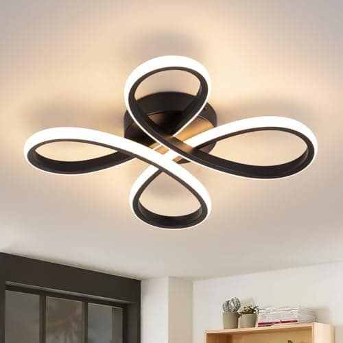 Image of EIDISUNY Modern LED Ceiling Light, 30W Black Ceiling Lights Fixture, Modern Ceiling Lights LED for Living Room Bedroom Corridor Aisle Hallway Balcony Garages Indoor Ceiling Lamp (Warm Light 3000K)