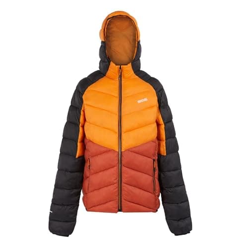 Image of Regatta Mens Dalent Lightweight Hooded Padded Jacket, Insulated & Water Repellent - Perfect for Outdoors, Walking, Hiking & Camping