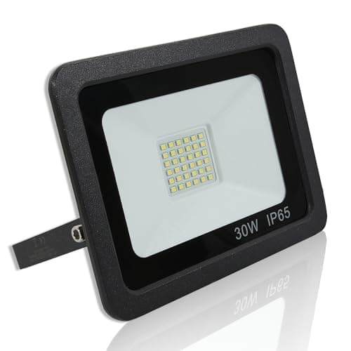 Image of LOWENERGIE LED FloodLight Waterproof IP65 (30w, Black)