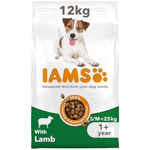 Image of IAMS Adult Small Medium Complete Dry Dog Food Lamb 12kg - With DentalCare System