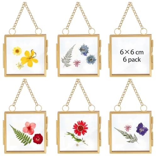 Image of 6 Pcs Hanging Mini Photo Frames,Double Clear Sided Glass Pressed Flower Frame with Chain,Floating Metal Gold Photo Frame for Dried Flowers,Plant Specimen, DIY Family Tree, Wall Display (Square, 6*6cm)