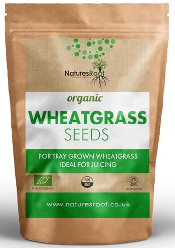 Image of Natures Root Organic Wheatgrass Sprouting Seeds 250g - Superfood | Non GMO | Microgreen Sprouts | Garden Planting | Wheat Grass Juicing | Cat Grass