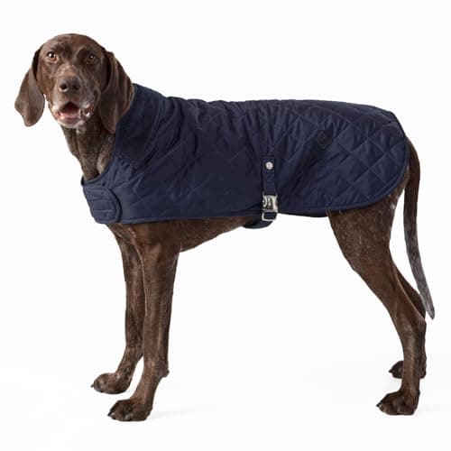 Image of HUGO & HUDSON x HACKETT Quilted Dog Jacket Warm Winter Coat with Corduroy Collar, Navy XL