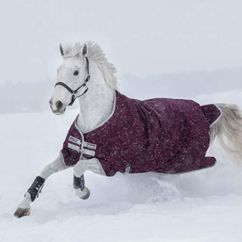 Image of Horseware Amigo Hero Ripstop 200g Standard Neck Horse Turnout Rug 69_5'9", Fig/Silverver