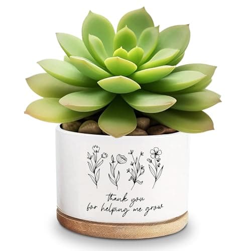 Image of Lasimfa Thank You for Helping Me Grow Ceramic Succulent Funny Planter Pots for Plant Lovers Teacher Birthday Christmas Thanksgiving Gift, 3.6 Inch (Plant Not Included)