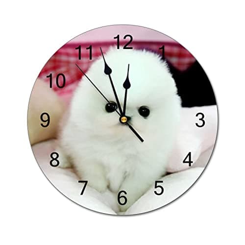 Image of Funlucy Modern Round Wall Clock Teacup Pomeranian Puppy 'munchkin' Black Silent Non Ticking Wall Clocks for Kitchen, Office, Retro Hanging Clock, 10 Inches