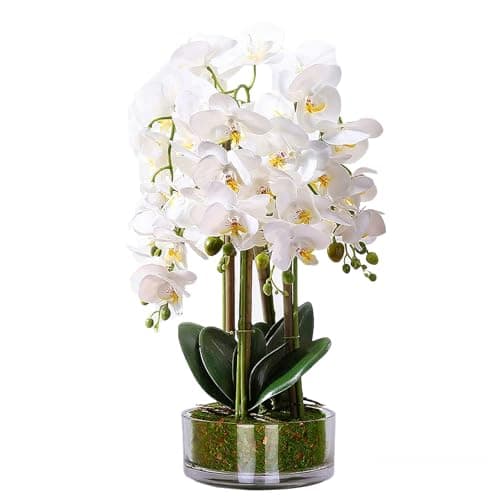 Image of 22.4" 57cm White Artificial Flowers Large Fake Orchids in Pot - Real Touch Tall Faux Flowers Phalaenopsis Orchid Plants Indoor Decorative Silk Flowers Arrangement for Living Room Home Table Decoration
