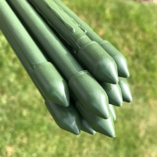 Image of Garden Plant Stake & Tomato Support Canes | Pea Climbing Vegetable Flower Pot Plant Poles - 1.2m / 47" Long x 11mm Ø Multipacks (50)