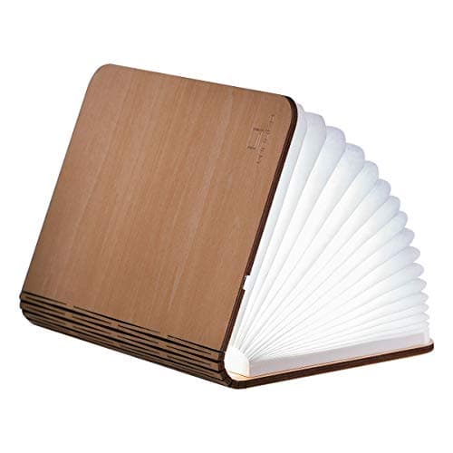 Image of Gingko LED Smart Book Desk Light with Natural Wood Effect Finish, Rechargable with Micro USB Charger, Maple