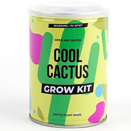 Image of Gift Republic Cool Cactus Grow Tin Grow Your Own Cacti in a Tin Gardening Grow Kit Cute Gift