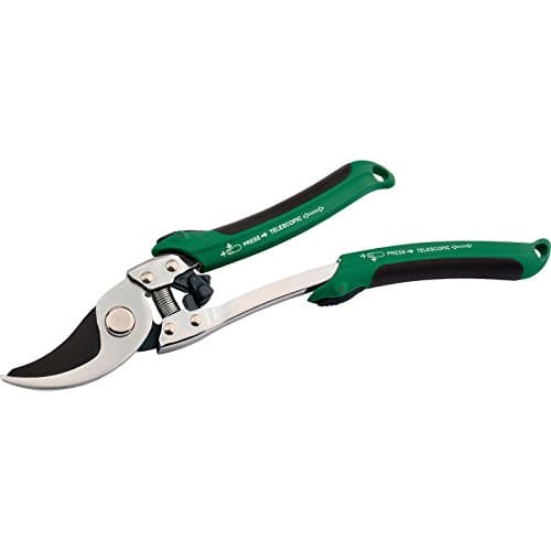 Image of Draper Expert 36542 2-in-1 Bypass Pattern Pruner and Mini Lopper