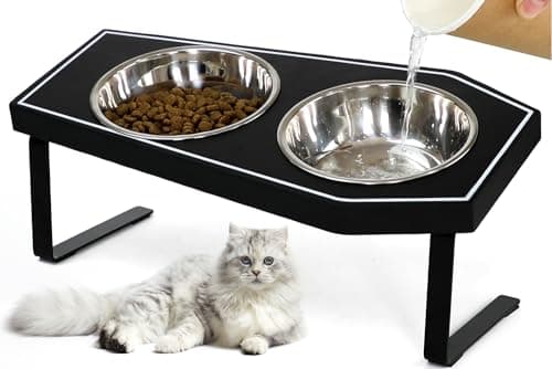 Image of OPELETNNT Cat Food Bowls Elevated, Gothic Cat Bowls, Raised Cat Bowls for Indoor Cats with Non-Slip Stand & Bamboo Board, Stainless Steel and Whisker Friendly Food Bowls