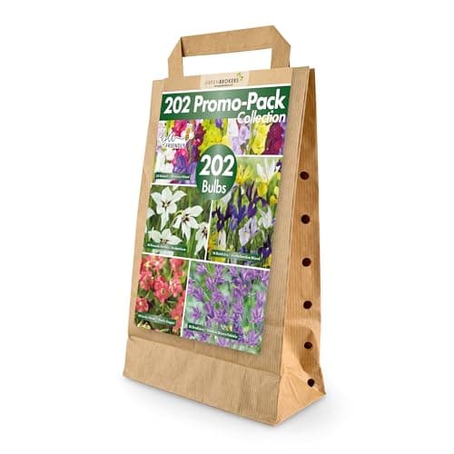 Image of Mixed Summer Flowering Bulbs | 202 Bulbs in 5 Varieties | Bee & Butterfly Friendly | Eco Packaging | Premium Quality