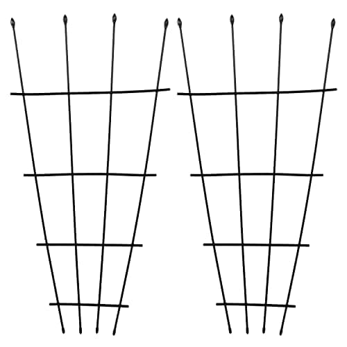 Image of Woodside 1.2m Metal Garden Fan Trellis, Decorative Plant/Flower Pot Support, pack of 2