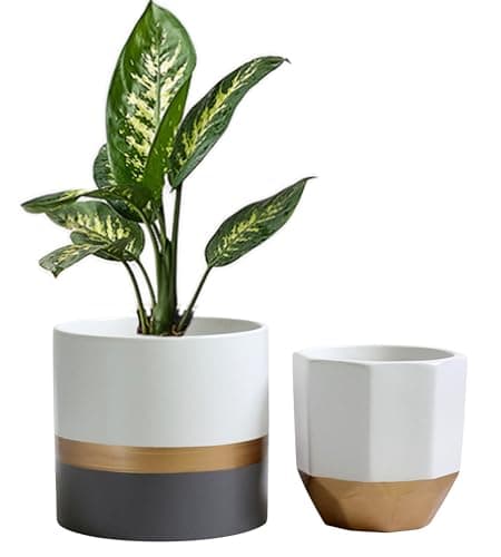 Image of Olly & Rose Salih White Grey and Gold Stripe Plant Pot Set 2 Ceramic Planter Set for Indoors and Outdoors