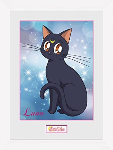 Image of GB eye, Sailor Moon, Luna (White, Framed Print 30x40cm, Wood, Multi-Colour,