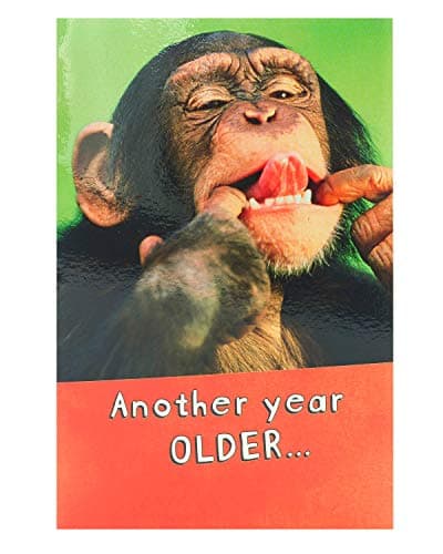 Image of UK Greetings Birthday Card for Him/Her/Friend - Monkey Design
