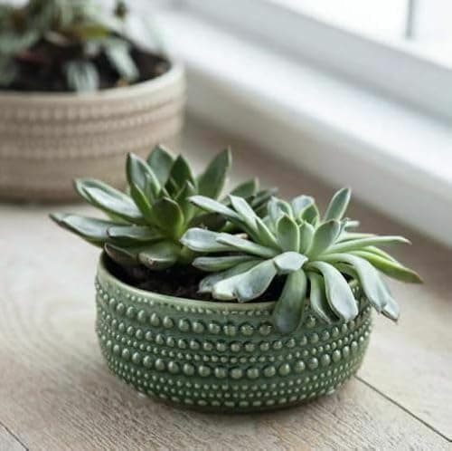 Image of Generic Green Textured Ceramic Bowl Planter, Glazed Dark Green Round Bulb Succulent Pot, Castello Medium Bowl Planters