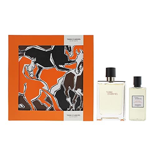 Image of Hermès Terre D'hermes 2 Piece Gift Set: Eau De Toilette 100ml - Hair & Body Shower Gel 80ml