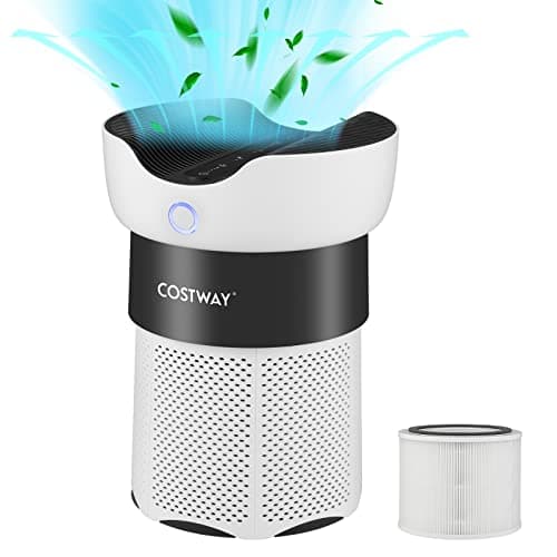 Image of COSTWAY Air Purifier for Home, H13 True HEPA Filter Air Cleaner Remove 99.99% of Pollen, Smoke, Allergens, Dust, Odors, with 4 Speeds, 8H Timer, Sleep Mode, Child Lock & Air Quality Indicator