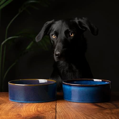 Image of Scruffs Ceramic Heavy Duty Reactive Glaze Pet Bowls - 2pc Set - Midnight Blue 19cm