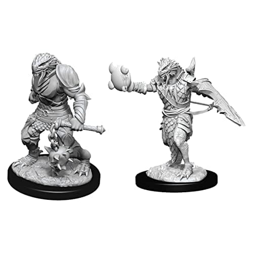 Image of Dungeons & Dragons Nolzur's Marvelous Unpainted Miniatures (W11) Male Dragonborn Paladin