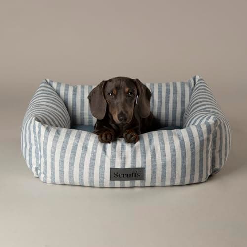 Image of Scruffs Coastal Dog/Pet Box Bed (M)
