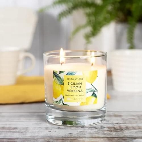 Image of New Fresh Lemon Verbena Scented Jar Candle – 2 Wick Glass Container Candle with Juicy Lemon, Lime and Musk Notes, Long Lasting 38 Hour Burn, Perfect for Home Décor or Gifting -M79