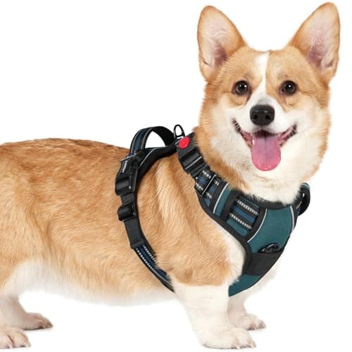 Image of rabbitgoo Dog Harness Large Dog No Pull Pet Harness with 2 Leash Clips, Adjustable Soft Padded Pet Vest Harness, Reflective No-Choke with Easy Control Handle for Training or Walking, Dark Green, S
