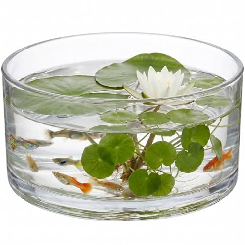 Image of Milisten 6 Inch Glass Flower Pot - 15cm Round Hydroponics Planter and Clear Glass Terrarium Bowl - Desktop Succulent Vase and Mini Fish Tank for Home and Office Decor - 15 x 8 cm