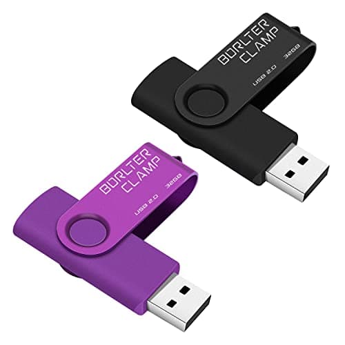 Image of BorlterClamp 32GB USB Flash Drive 2 Pack USB 2.0 Drive Pack Bulk Swivel Memory Stick Colorful Thumb Drive USB Storage Pen Drive, Black and Purple